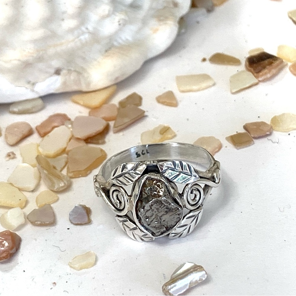 Extraordinary Campo Del Cielo Meteorite Sterling Silver Ring - Picture 2 of 5